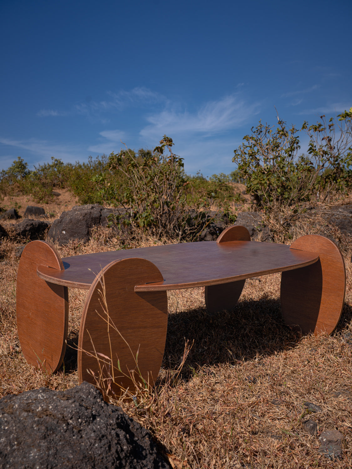 Squircle Coffee Table