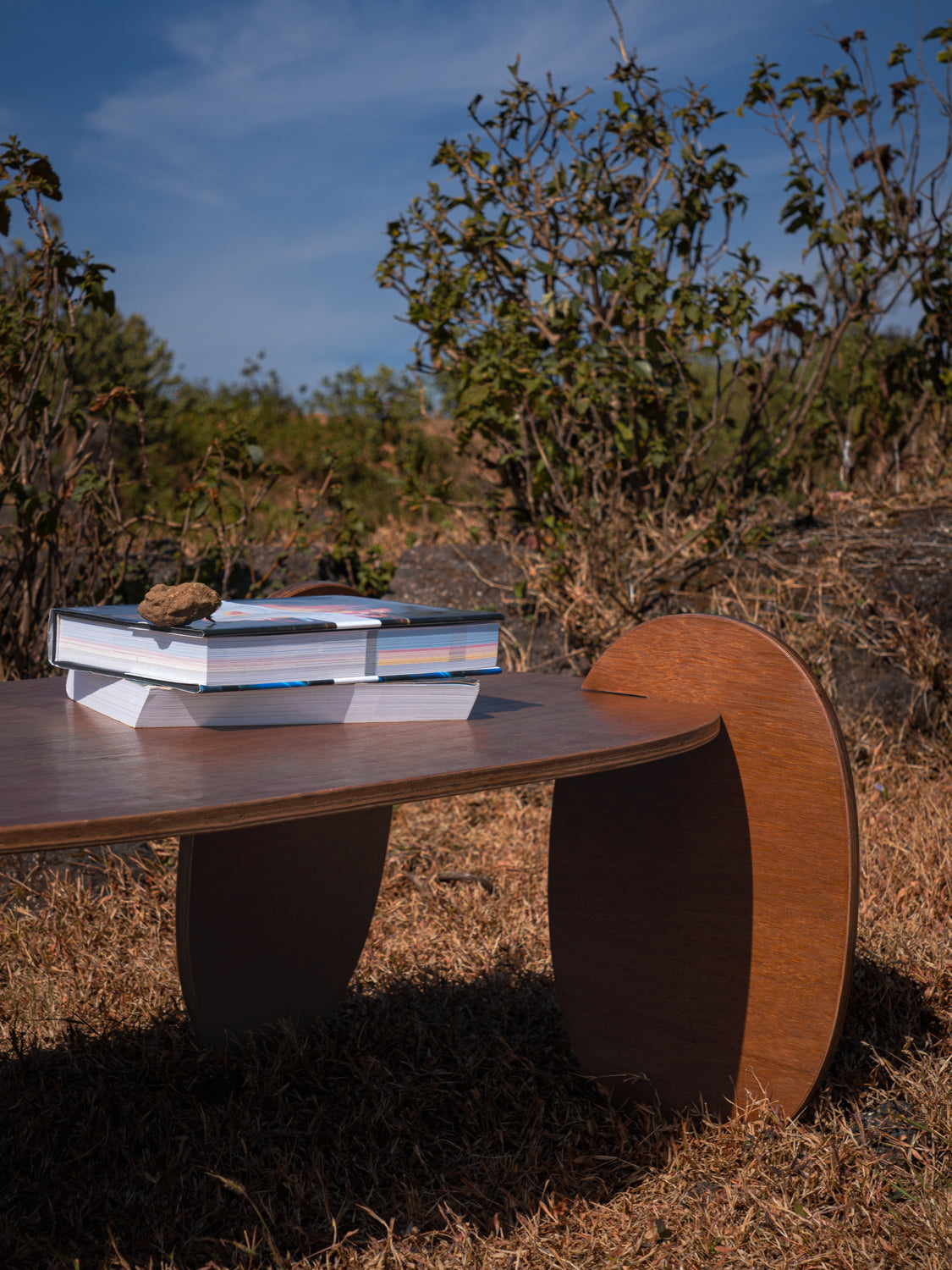 Squircle Coffee Table