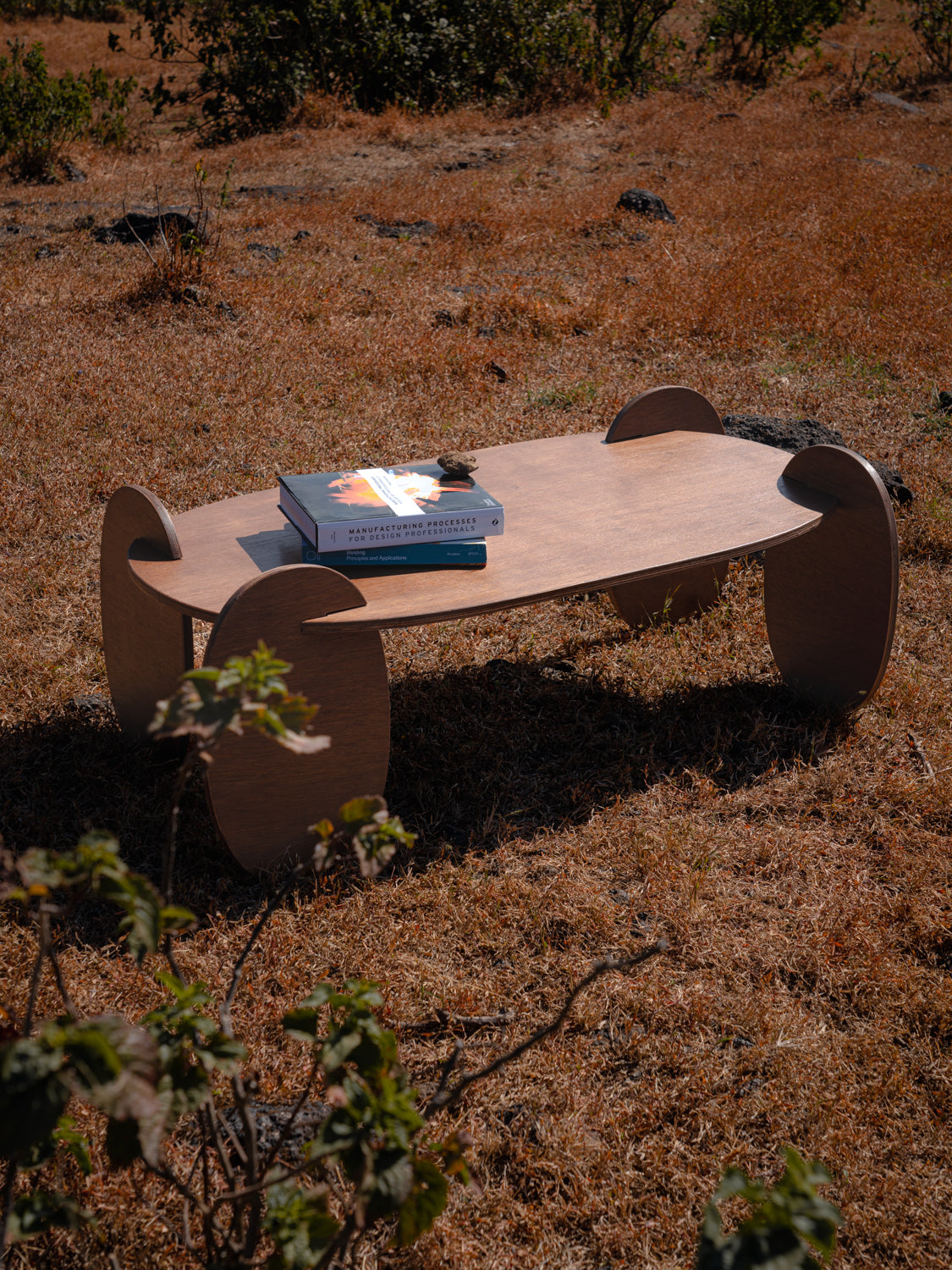 Squircle Coffee Table